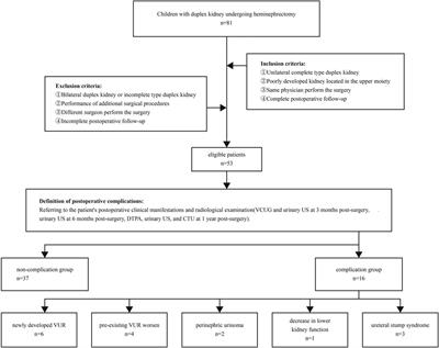 Risk factor of postoperative adverse events among children with duplex kidney undergoing upper pole heminephrectomy: a single-center experience
